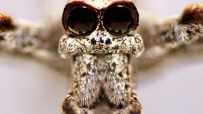 Kulakları yok duyuyor elleri yok yakalıyor. İnsanın nutku tutuluyor. Bu nasıl bir şey