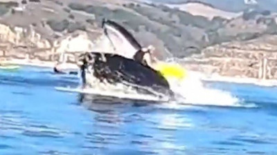 Okyanusun ortasından aniden ortaya çıktı kanocu kadınlarla göz göze geldi. Videoyu izleyenlerin kanı dondu