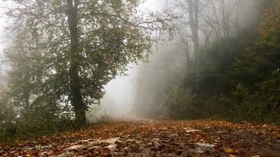 Kocaeli Kartepe'de sonbahar renkleri büyüledi