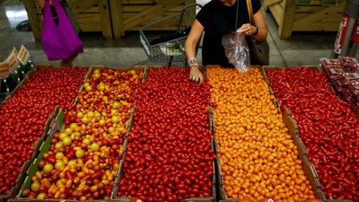 Antalya'da domates üretimi düşünce gözler Irak'a çevrildi