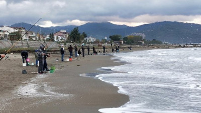Bu balıkları tutmak ve yemek caiz mi? Diyanet açıklasın