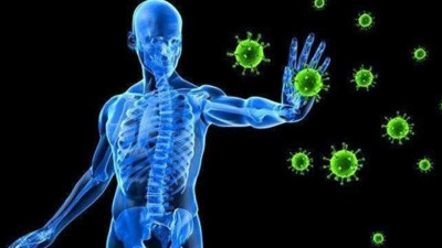 Harvard Üniversitesi doktorları ortaya çıkardı. Bağışıklığı güçlendiriyor diye biliniyordu zerre faydası yokmuş