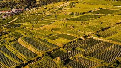 Tarlayı kazan arkeologlar yan yana bulunca şok oldular. Yanında buldukları da hazine değerindeydi