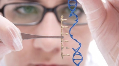 Biyobilişim uzmanları keşfetti. Korona virüste bugüne kadar gözden kaçırıldı