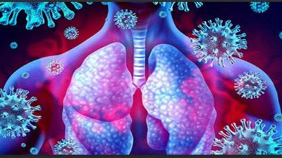 Hepimizin evinde var, koronaya duvar oluyor. Prof. Dr. Mustafa Necmi İlhan açıkladı