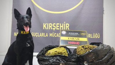 Patates çuvalına gizlenen esrarı narkotik köpeği ‘Çine’ buldu