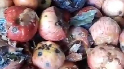 Çürük elmalı meyve sularına bakanlık incelemesi