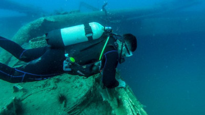 Parmağınızı bile denize sokmak cesaret istiyor. Zehri enjekte ediyor. Süveyş Kanalı'ndan Ege'ye kadar geldi