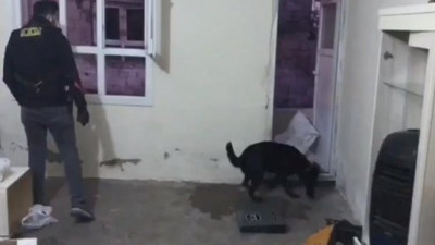 Şanlıurfa'da torbacı avı