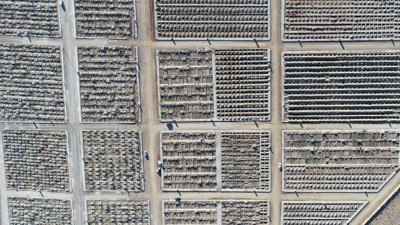 Erzurum'daki mezarlıkta hummalı çalışma. Kaza kaza bitiremediler