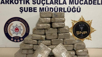 Polis köpeğini çıldırtan baskın