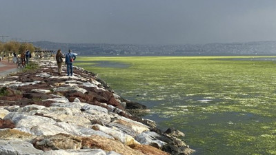 İzmir'de sahil deniz maruluyla kaplandı