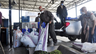 Saf zeytinyağı diye bize bakın ne yedirmişler. Manavgat Ziraat Odası Başkanı Rasim Metin konuştu