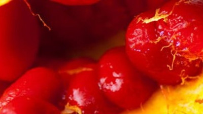 Kansere bile çare oluyor diyabeti yok ediyor. Yararları say say bitmiyor