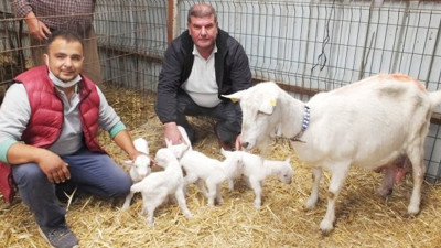 Görenler gözlerine inanamadı. Polisin ayakları yerden kesildi