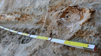 Edirne'de bulundu. Tam 8 milyon yaşında