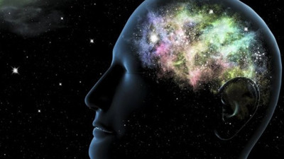 Yapısı insan beyni gibi. Akıllara durgunluk veriyor