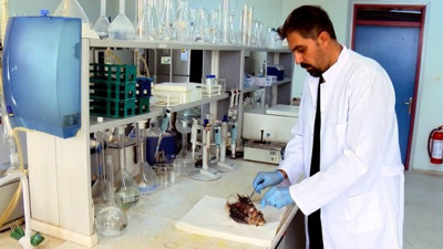 İğnesine değmek bile insanın dünyasını karartıyor. Süveyş kanalından geldi Türkiye'de kol geziyor