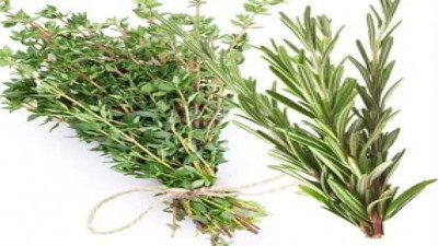 Türk profesör koronaya çare olan mucizevi kekik yağını kimlerin kullanamayacağını açıkladı. Fiyatı arttıkça artıyor