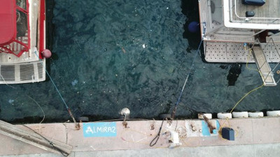 İstanbul Boğazı beyaza büründü. Prof. Dr. Melek İşinibilir Okyar nedenlerini tek tek sıraladı