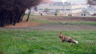 Bolu Abant Üniversitesi'nde kampüsün sahipleri değişti