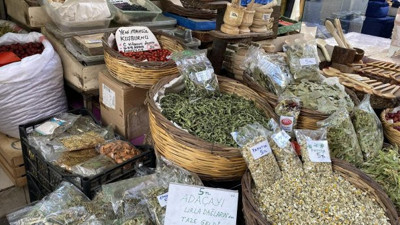 Kış aylarını yaza çeviriyor, gribe kalkan oluyor. Almak için aktarların kapısını aşındırıyorlar