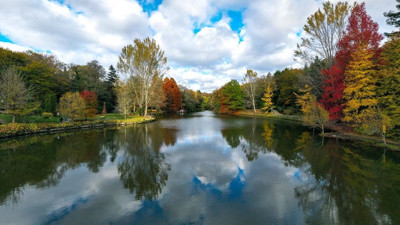 Sonbaharın en çok yakıştığı yer Atatürk Arboretumu