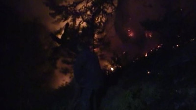 Kastamonu ormanları cayır cayır yandı