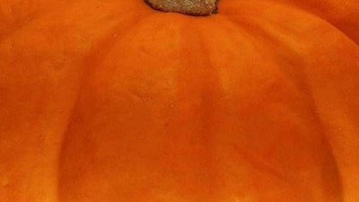 Bağışıklığı demir gibi yapıyor hastalıklardan kuruyor. Günde 100 gram yetiyor