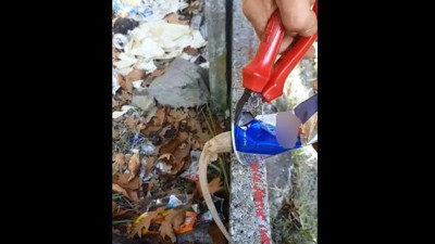 Susayan hayvan kutuda sıkıştı