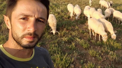 Kangal köpeğini hedef tahtasına çevirdiler. Koyunları kurtarmak için kurşunların hedefi oldu