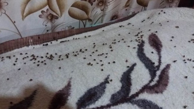 Bir anda evlerin içine akın ettiler, aileler şok üstüne şok yaşadı. Kabus ilçeye karabulut gibi çöktü