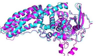 Korona araştırmalarını hızlandıracak keşif