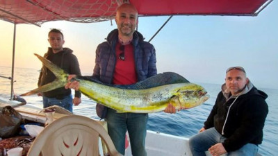 Amatör balıkçı özel yapım oltayla yakaladı. Okyanusları aşıp geldi Aydın'da avlandı