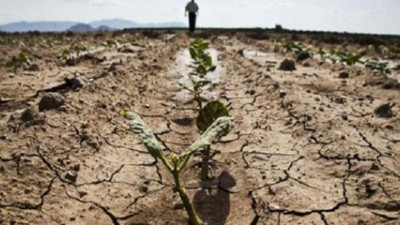 Gelecek yıl için tehlike çanları çalmaya başladı. Dünya Gıda Programı'nda 12 ülke için kıtlık uyarısı