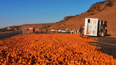 Hatay'da TIR devrildi. 15 ton mandalina yola saçıldı