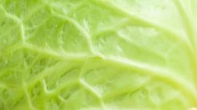 Bağırsakları fabrika gibi çalıştırıyor. Yararlı bakterileri çoğaltıyor