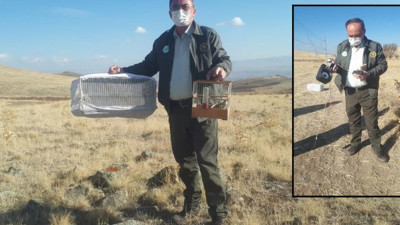 Saka avcılarına rekor ceza