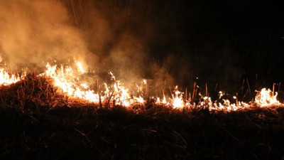 Eber Gölü'nün çevresi cayır cayır yanıyor. Gölleri de kuruyan vatandaşlar isyan etti