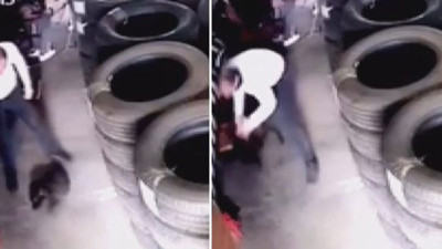 Yavru köpeği feci şekilde öldürmüştü. İşte şüpheli için istenen ceza