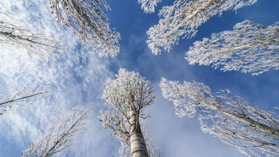 Meteoroloji'den 4 il için don ve buzlanma uyarısı (12 Aralık 2020)