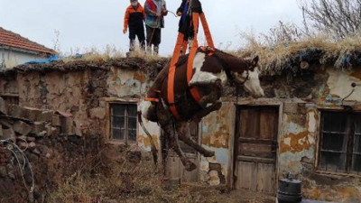 Kimse nasıl çıktığını anlamadı. köylüler şaşkına döndü, indirebilmek için herkes seferber oldu