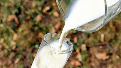 Bakan Pakdemirli'den çiğ süt desteği açıklaması