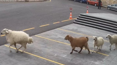 Belediye binasına girmeye çalıştılar. İşte o an kamaraya yansıyan görüntüler