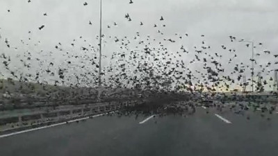 Ankara otobanında inanılmaz olay. Sürücüler şoka uğradı. Sonunda olacağı buydu