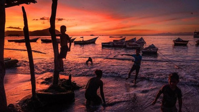 Yüzlercesi bir anda karaya vurdu. Görenler mutluluktan ağladı. Nereden ve nasıl geldiği bilinmiyor