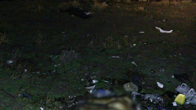 Zehirlenmiş halde bulundu. Tepki gösterdiler