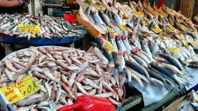 Balıkçılar, hafta sonundan umutlu