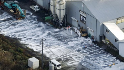 Japonya'da eski hastalık hortladı