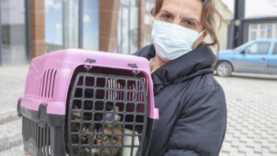 Bilim Kurulu Üyesi Deniz Ayaz verilerle gerçeği açıkladı, Dünya Hayvan Sağlığı Örgütü'nün açıklaması endişe yaratmıştı